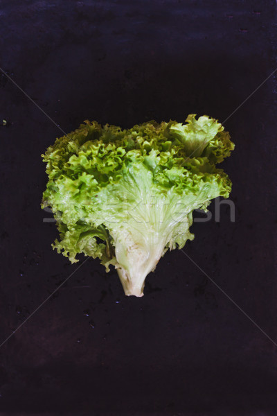 juicy fresh green lettuce leaves on a tempo background, in retro Stock photo © TanaCh