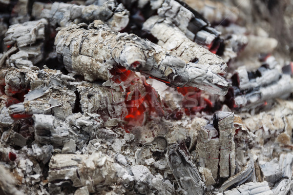 Bois charbon combustion bois de chauffage charbon cendres [[stock_photo]] © TanaCh