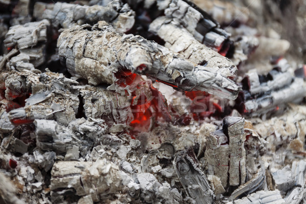 Remains of wood coal and ashes after the combustion of firewood. Stock photo © TanaCh