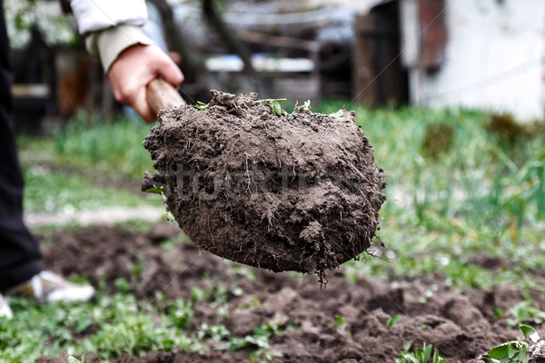 A woman's hand digs soil and soil with a shovel. Close-up, Conce Stock photo © TanaCh