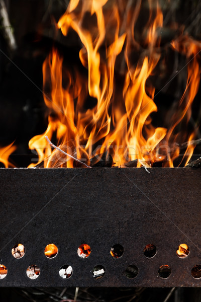 Lemne de foc petrecere natură Imagine de stoc © TanaCh