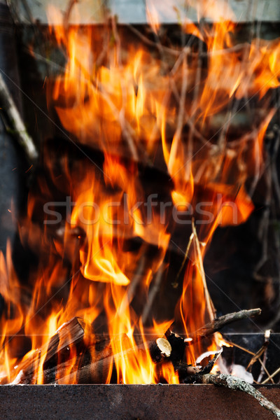 Lemne de foc petrecere natură Imagine de stoc © TanaCh