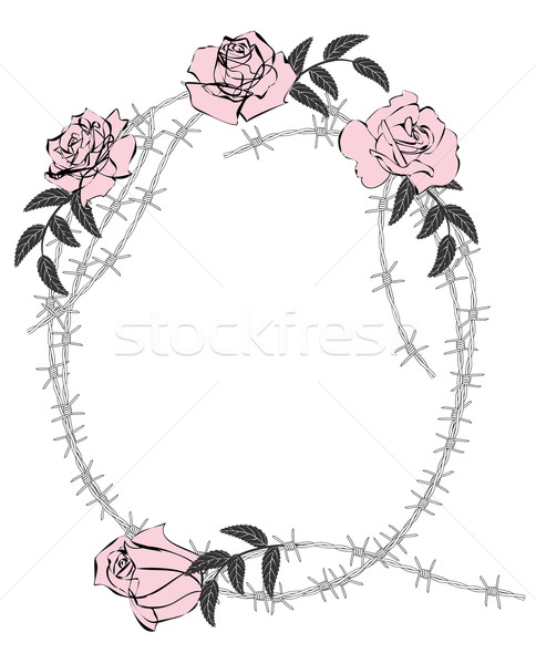 roses and barbed wire Stock photo © tanais