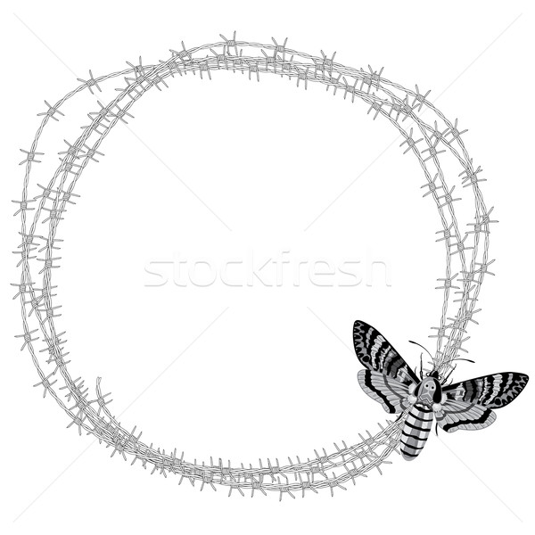 death's head hawk moth (Acherontia atropos) and barbed wire Stock photo © tanais