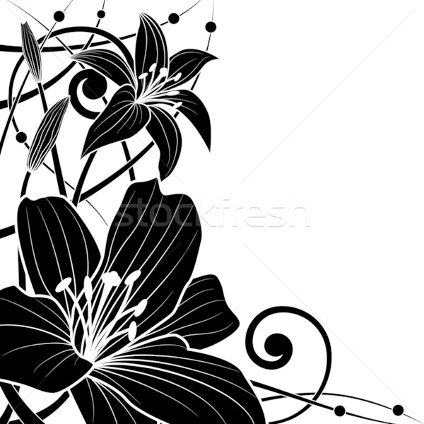 Lilie Vektor schwarz weiß Farben schwarz weiß Stock foto © tanais