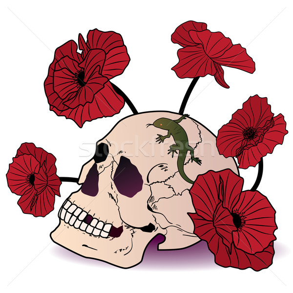 Cranio lucertola papaveri segno morte rosso Foto d'archivio © tanais
