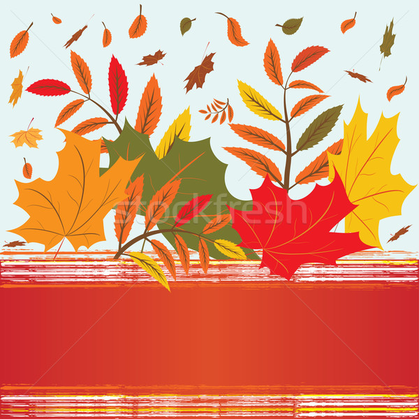 leaf fall Stock photo © tanais