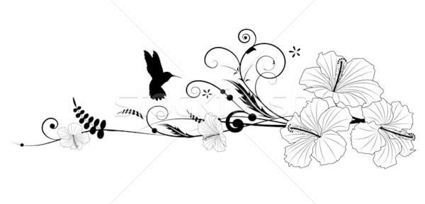 гибискуса hummingbird вектора цветочный черно белые цветами Сток-фото © tanais