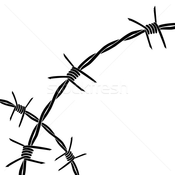 barbed wire Stock photo © tanais