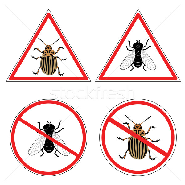 fly and  colorado potato beetle Stock photo © tanais