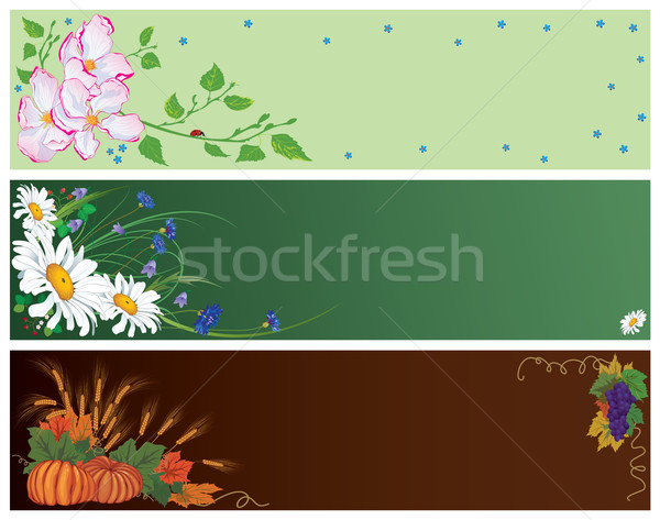 Frühling Sommer Herbst Set Vektor Banner Stock foto © tanais