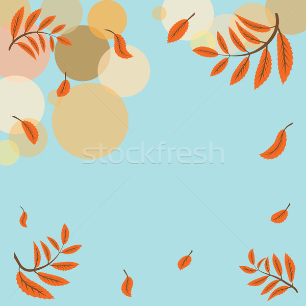 Herbstlich Retro-Stil Blätter Esche Blatt Herbst Stock foto © tanais