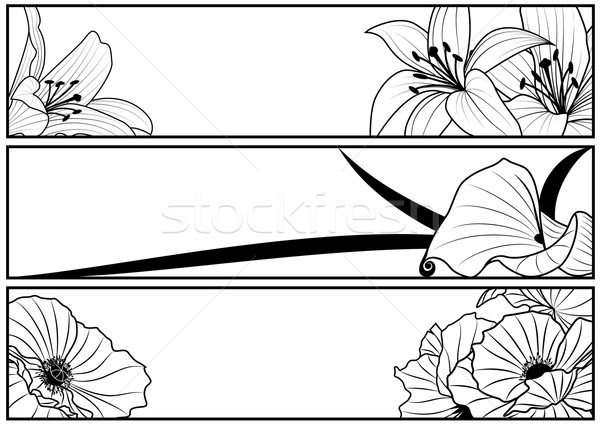 Szett virágmintás bannerek vektor liliom pipacs Stock fotó © tanais