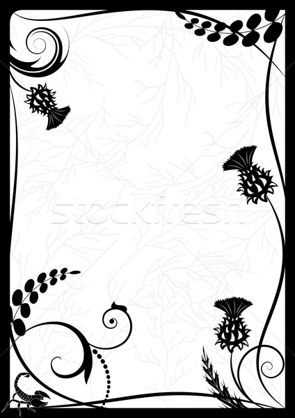 кадр скорпион вектора черно белые цветами дизайна Сток-фото © tanais