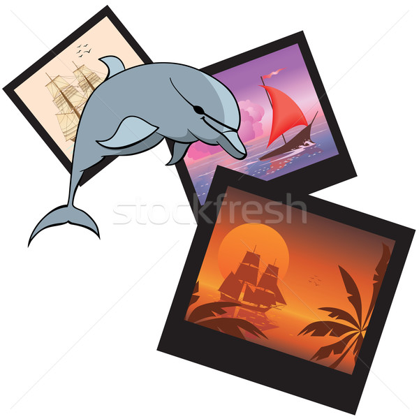dolphin and  photoframes Stock photo © tanais