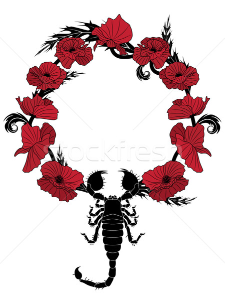 poppy  and scorpion Stock photo © tanais