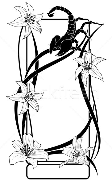 Foto stock: Lily · escorpión · marco · vector · flores · blanco · negro