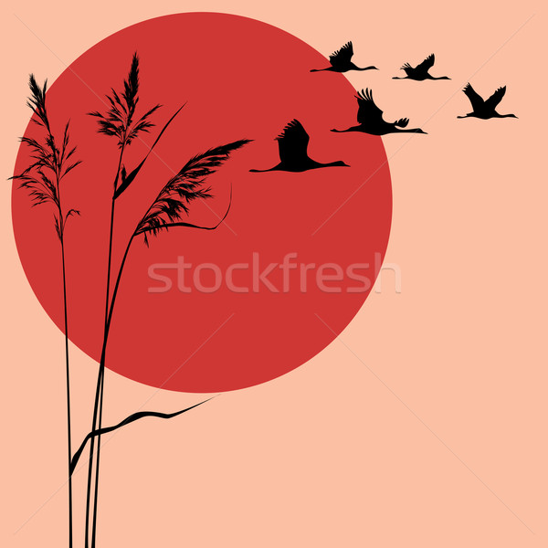 Vektor Herde Sonne abstrakten Natur Landschaft Stock foto © tanais
