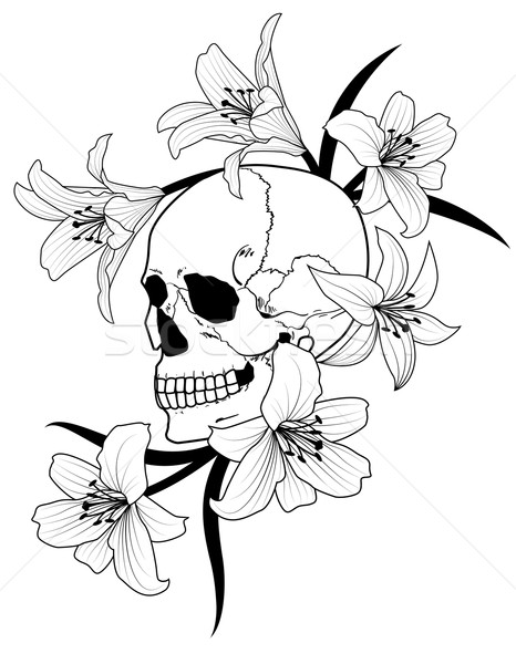skull and lily Stock photo © tanais