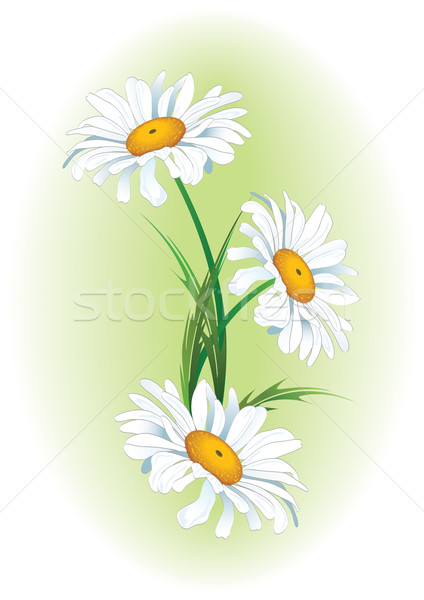 Stock photo: floral background