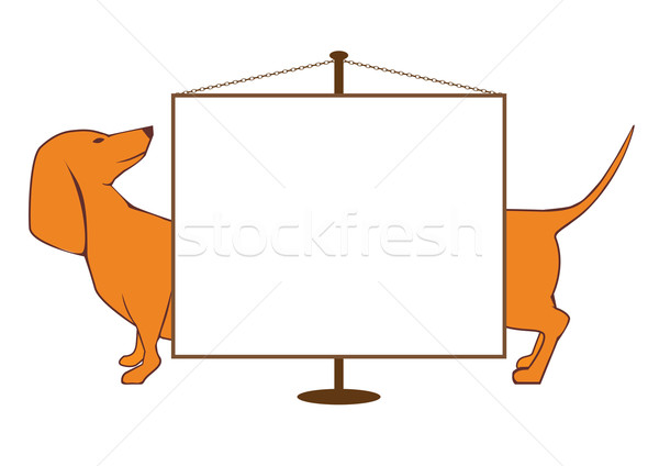 Banner Hund Hintergrund orange Kette Anzeige Stock foto © tanais