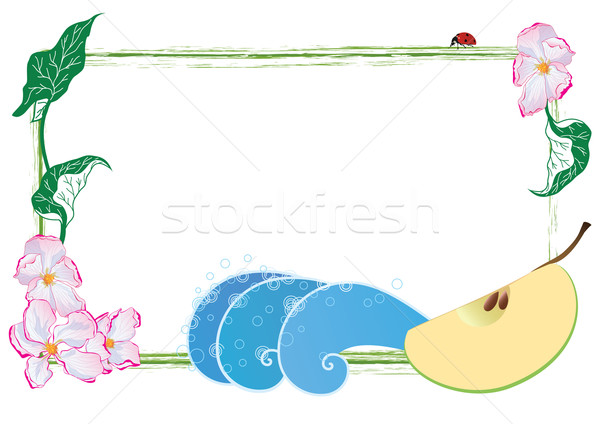 Cadre pomme fleurs fruits coccinelle vecteur [[stock_photo]] © tanais