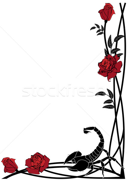 border with roses and scorpion Stock photo © tanais