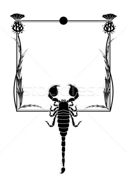 Stock foto: Skorpion · Vektor · Rahmen · Blumen · Design · schwarz