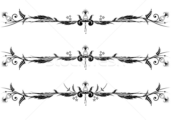vector floral vignette Stock photo © tanais