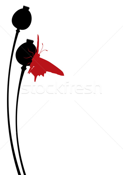 Mohn Illustration Saatgut rot schwarz Silhouette Stock foto © tanais