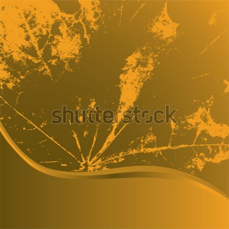 Abstract vettore foglia acero nero Foto d'archivio © tanais