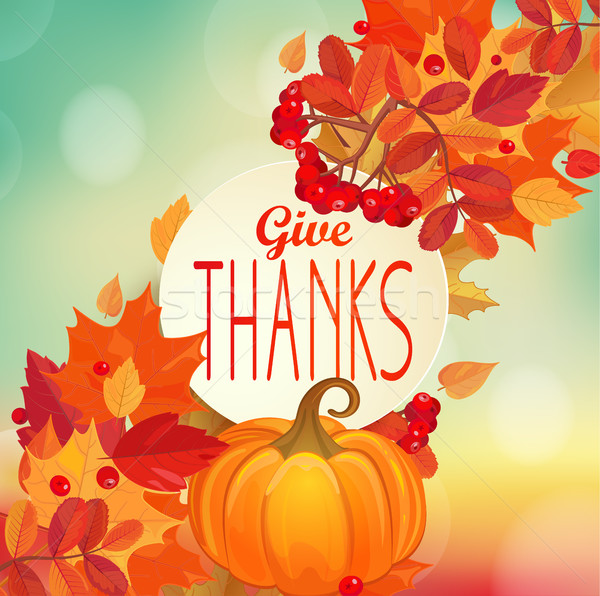 Give thanks - autumn background with pumpkin. Stock photo © tandaV
