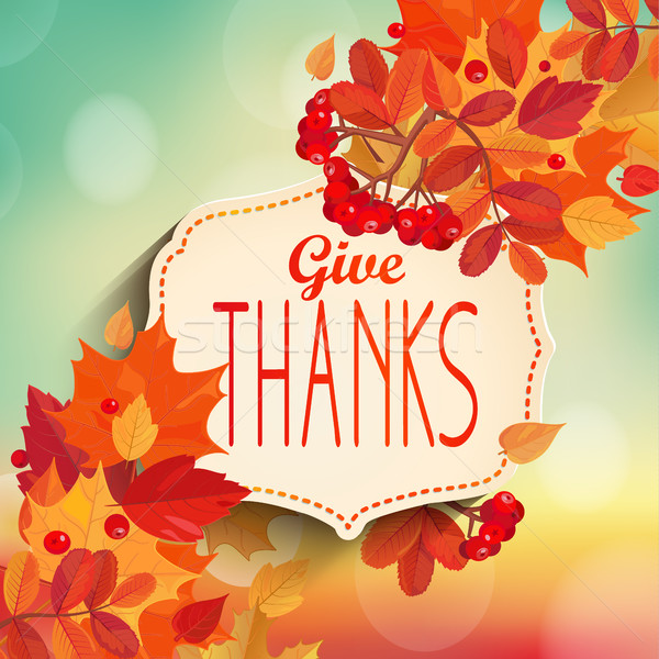 Give thanks, autumn background. Stock photo © tandaV
