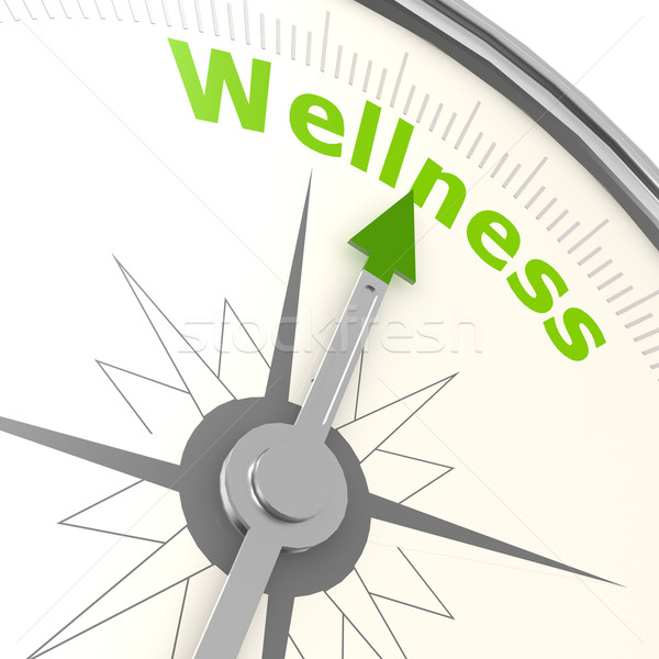 Wellness compass Stock photo © tang90246