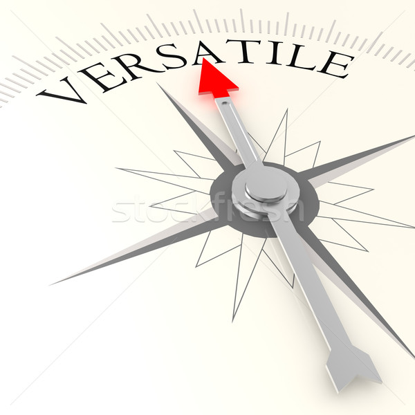 Versatile compass Stock photo © tang90246