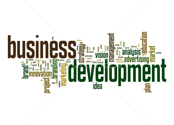 Afaceri dezvoltare nor cuvant marketing administrare plan Imagine de stoc © tang90246