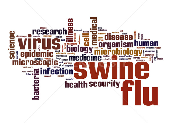 Swine flu word cloud Stock photo © tang90246