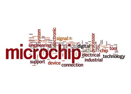 Microchip word cloud digitale elettronica chip ingegneria Foto d'archivio © tang90246