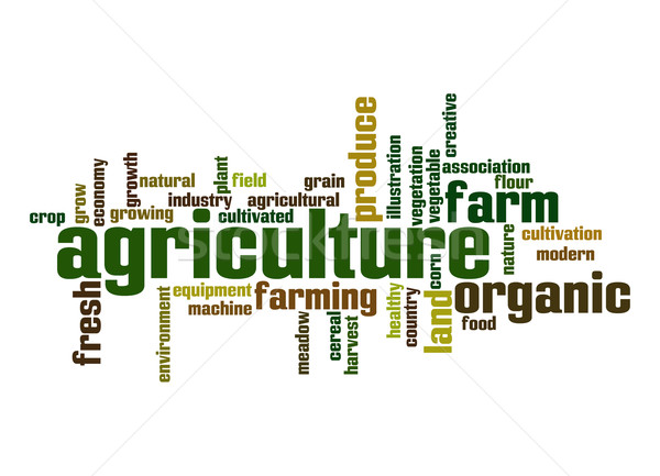 Agriculture word cloud Stock photo © tang90246
