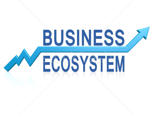 üzlet ökoszisztéma kék nyíl kép renderelt Stock fotó © tang90246