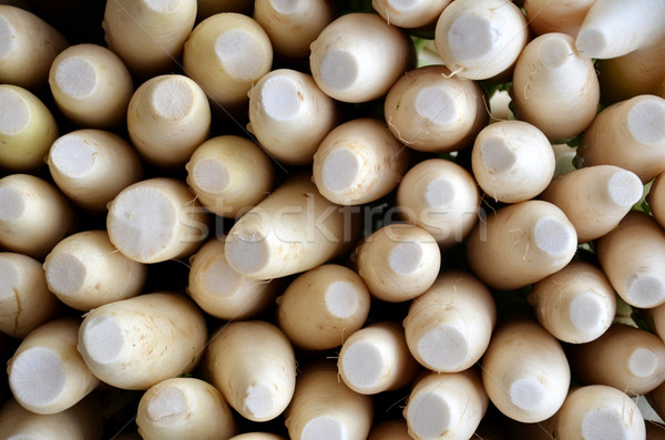Indian white radishes Stock photo © tang90246