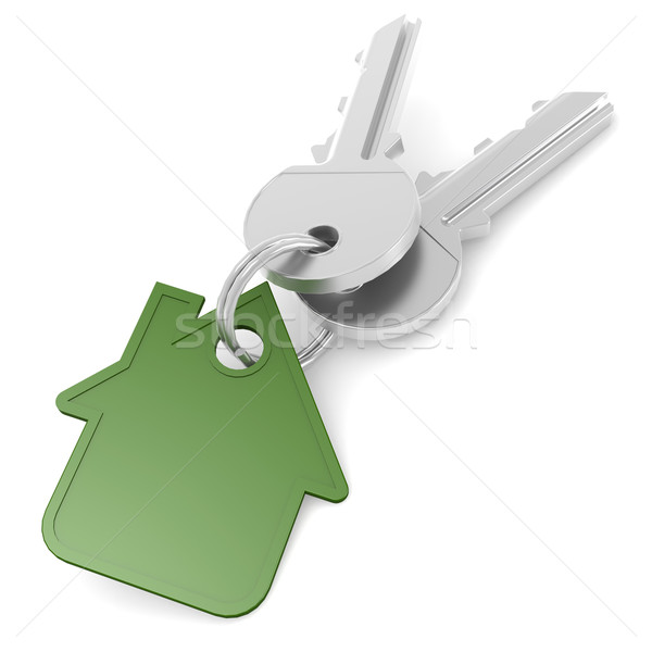 Green house key Stock photo © tang90246