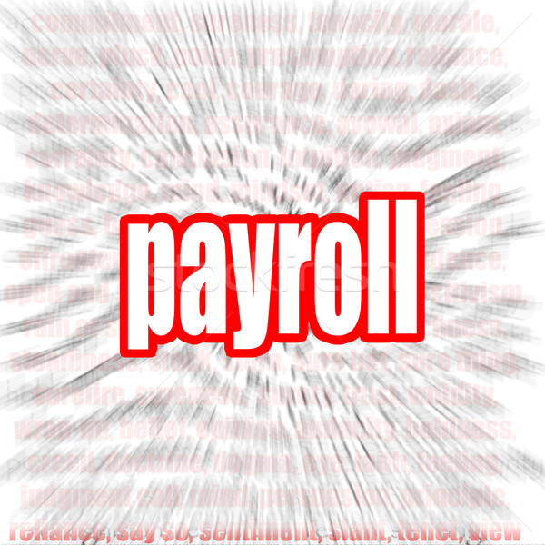 Payroll word cloud Stock photo © tang90246