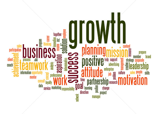 Growth word cloud Stock photo © tang90246