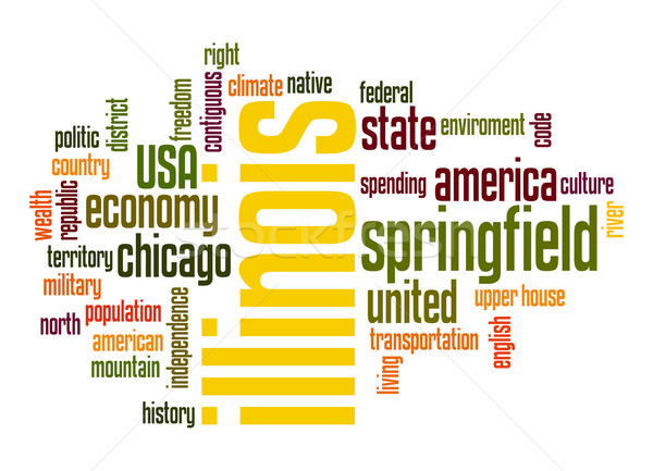 Illinois word cloud Stock photo © tang90246