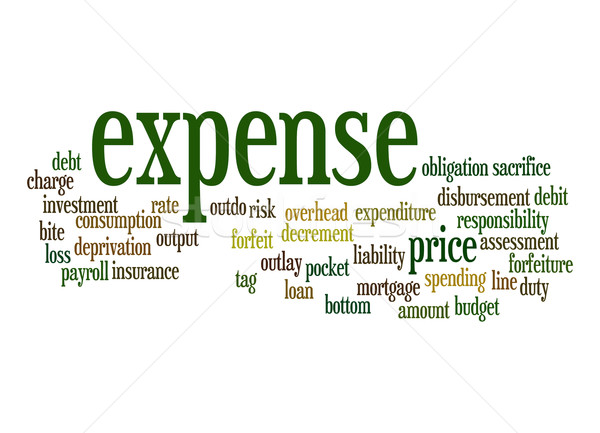 Expense word cloud Stock photo © tang90246