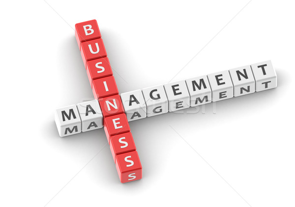Business management Stock photo © tang90246
