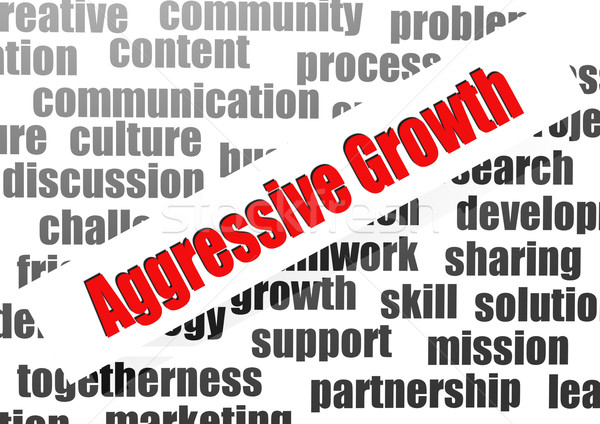Aggressive growth word cloud Stock photo © tang90246