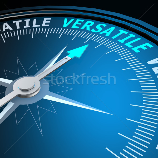 Versatile word on compass Stock photo © tang90246