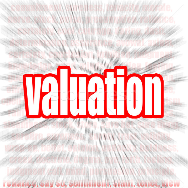 Valuation word cloud Stock photo © tang90246